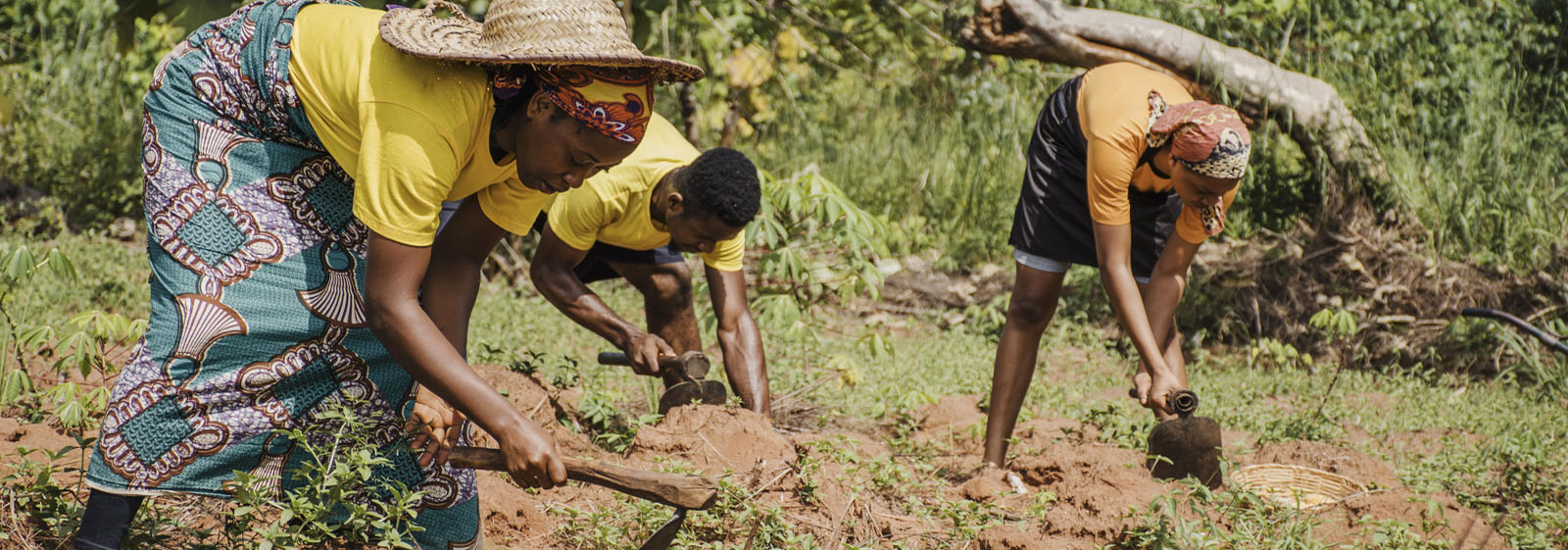 audit interne qualité totale et experte en agrobiologie.
